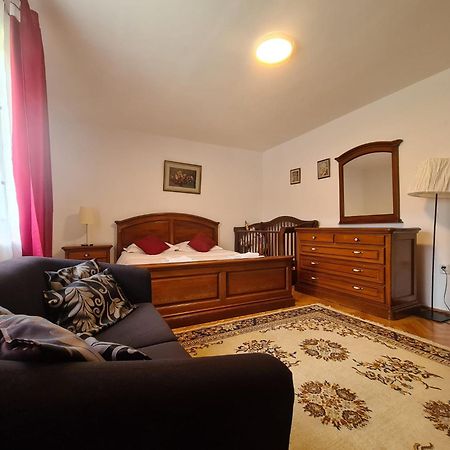 Lelia Residence Apartments Braşov Buitenkant foto